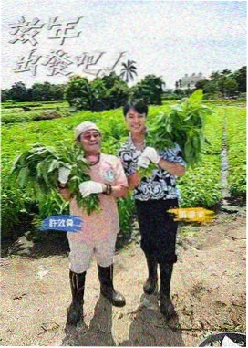 旧糖厂美育空间保留高窗的改造阅读区